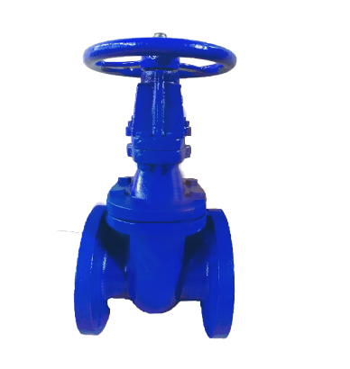 OS&Y Cast Iron Gate Valve, 150LB